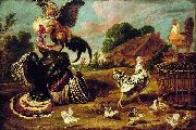 Paul de Vos The fight between a turkey and a rooster oil painting